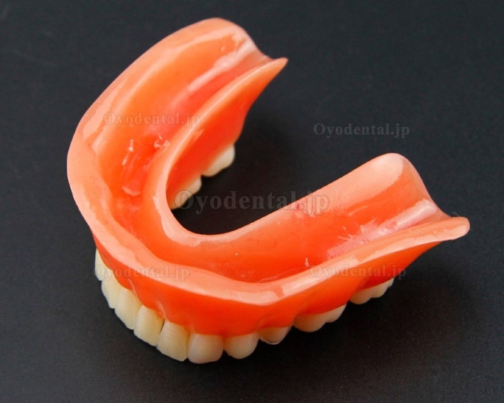 歯科用オーバーデンチャー歯モデル下顎精密インプラント金色