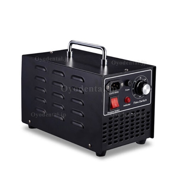 10g/h 商業オゾン発電機の空気清浄器の防臭剤の滅菌装置の黒110V